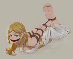Zelda tied up